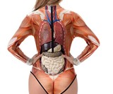 Internal Organs Rash Guard Swimsuit
