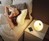 Philips Somneo Connected Sleep & Wake-up Light
