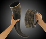 Game of Thrones Drinking Horns