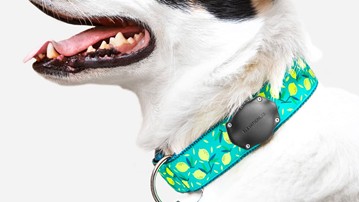 TagVault Pet - Waterproof AirTag Dog Collar Mount TagVault Pet - Waterproof AirTag Dog Collar Mount