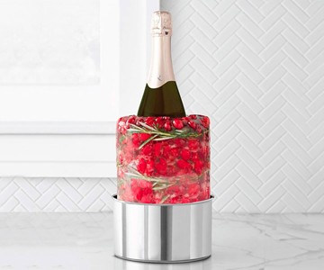 DIY Ice Mold Wine Bottle Chiller DIY Ice Mold Wine Bottle Chiller