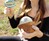 Sun Token Solar Vaporizer Hybrid Sun Token Solar Vaporizer Hybrid