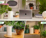 GrowCube - Smart Watering Kit