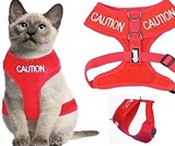 Dog & Cat Temperament Leashes & Collars