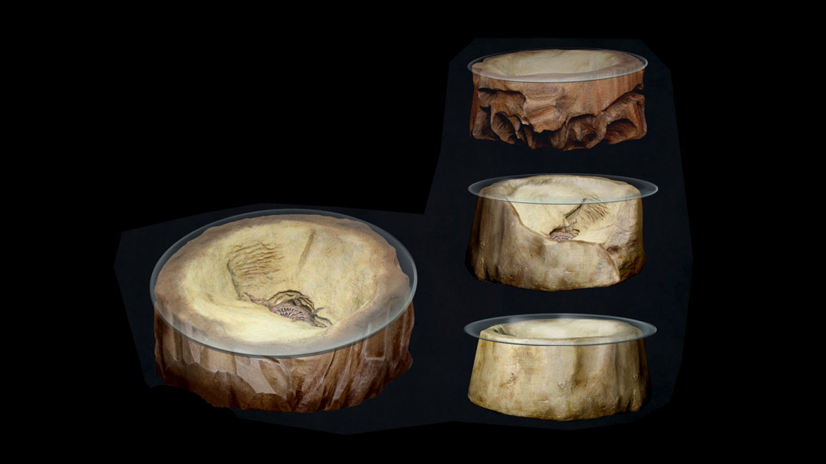 Star Wars Sarlacc Pit Coffee Table