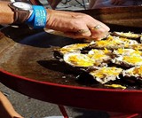 FireDisc Carbon Seel Grills