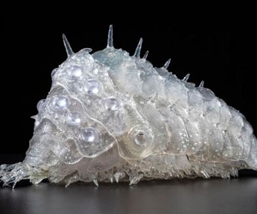 Nausicaa of the Valley of the Wind Transparent Ohmu Nausicaa of the Valley of the Wind Transparent Ohmu