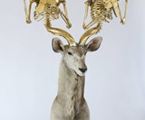 Armed Taxidermy