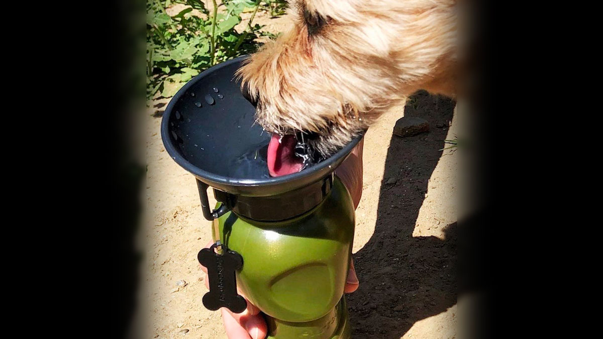 AutoDogMug - Portable, Leak-Free Dog Water Bowl AutoDogMug - Portable, Leak-Free Dog Water Bowl