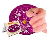 Giant Microbes Heart Burned Gift Box