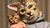 16 of the Best Gifts for Cat Lovers