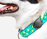 TagVault Pet - Waterproof AirTag Dog Collar Mount
