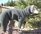 Dog Snowsuit