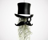 Top Hat & Face Planter