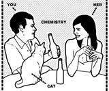 Guys Can Be Cat Ladies Too