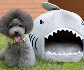 Shark Puppy Bed Shark Puppy Bed