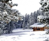 Cabin Porn