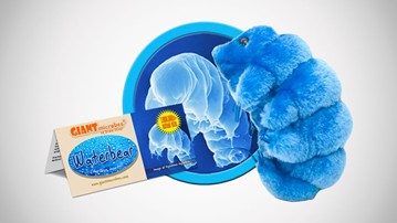 GIANTmicrobes Water Bear Plush Toy GIANTmicrobes Water Bear Plush Toy