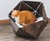 Geometric Wooden Pet Bed