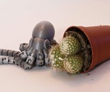 3D Printed Articulating Octopus