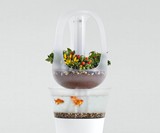 EVA Smart Aquaponics Furniture