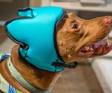 Pawnix Noise-Cancelling Headset for Dogs