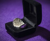 Solid Silver Anus