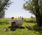 The Dutch Tub