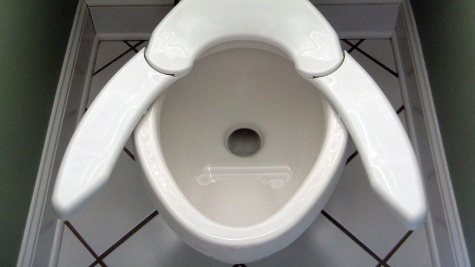 One Size Fits All Toilet Seat