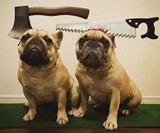 Bloody Weapon Pet Halloween Costumes