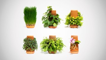 The Planter: terraplanter Inside-Out Hydroponic Planter
