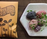 Sprouting Seed Faces - Plantable Paper & Edible Sprouts