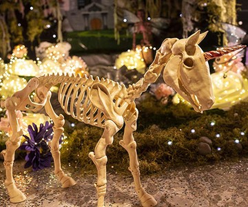 Unicorn Skeleton Unicorn Skeleton