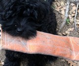 Repurposed Fire Hose Dog Toys