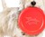Bacon-Scented Rubber Flying Disc for Dogs