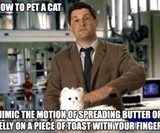 Guys Can Be Cat Ladies Too