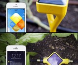 Edyn Smart Garden System
