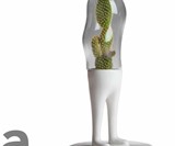 Domsai Terrariums-4119