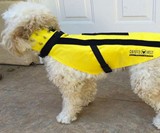 Coyote Vest Pet Body Armor