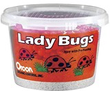 1,500 Live Ladybugs