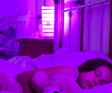 Kasa Low Energy Bluetooth Smart Bulbs