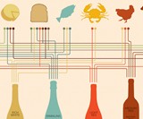 Wine Education Prints