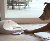 CleverPet Dog Gaming Console