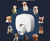 LED Dog Projector for Dog Collars