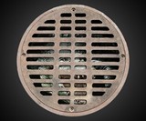 Alligator in a Manhole Doormat