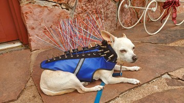 CoyoteVest Pet Body Armor CoyoteVest Pet Body Armor