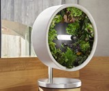 Rotofarm Compact Anti-Gravity Kitchen Farm