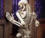 Ascending Evil Climbing Skeleton Wall Sculpture