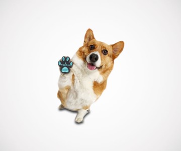 Dog Paw Anti-Slip Pads