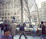 Mesmerizing Animated GIF Portrait-7135